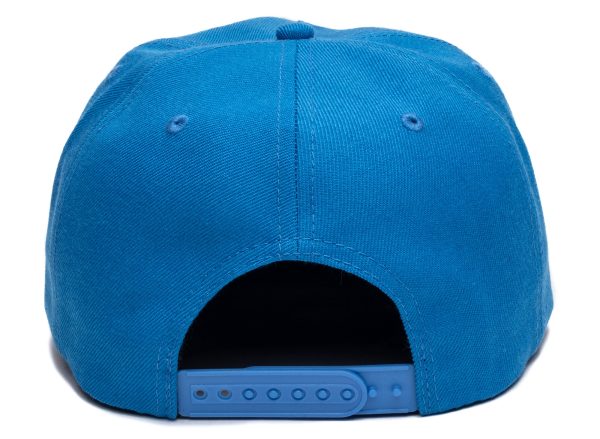 Pleasures Records Snapback Hat in Blue Online Hot Sale