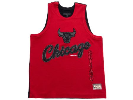 Purple Brand Chicago Bulls Mesh Jersey Supply