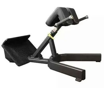 DHZ Hyper Extension Bench Evost Model E3062 [WS] Sale