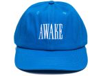 Awake NY Logo Hat in Blue Supply